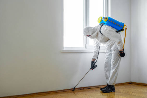 Best Bed Bug Extermination  in Newman, CA