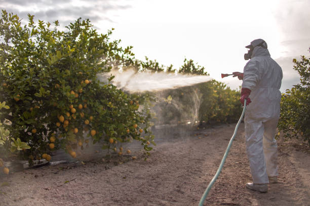 Best Pest Control Cost  in Newman, CA