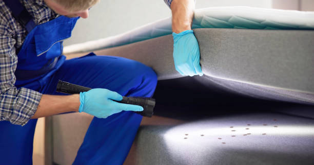 Best Residential Pest Control  in Newman, CA