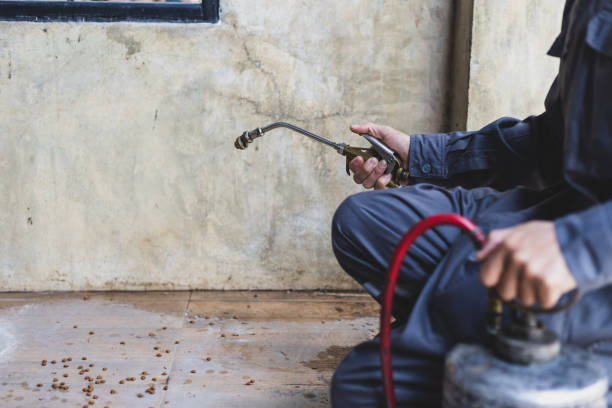 Best Exterminator Services  in Newman, CA
