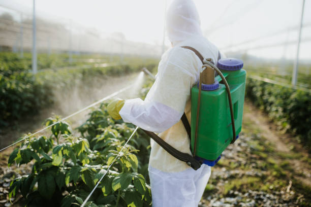 Pest Prevention Services in Newman, CA